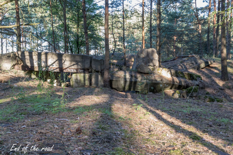 Pz. W. 877 - widok na elewację wejściową