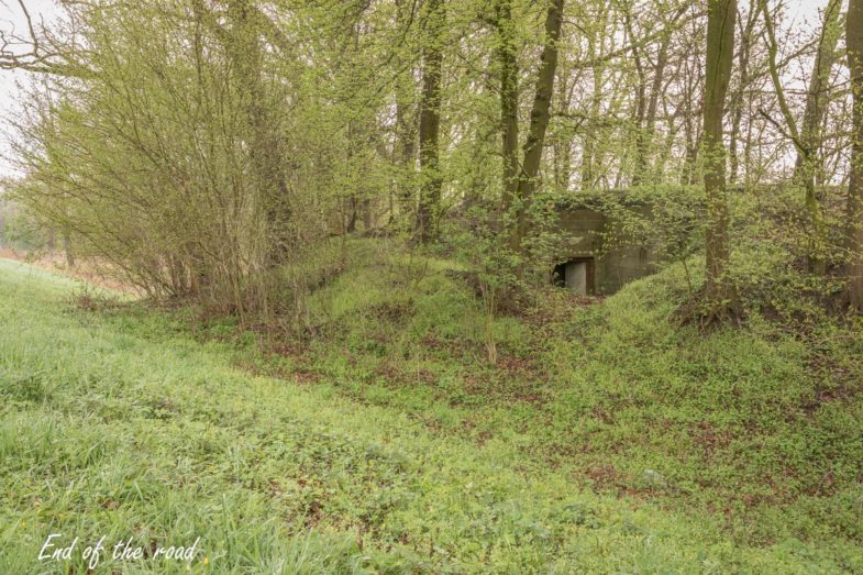 Oderstellug, Unterstand 703, widok ogólny na schron
